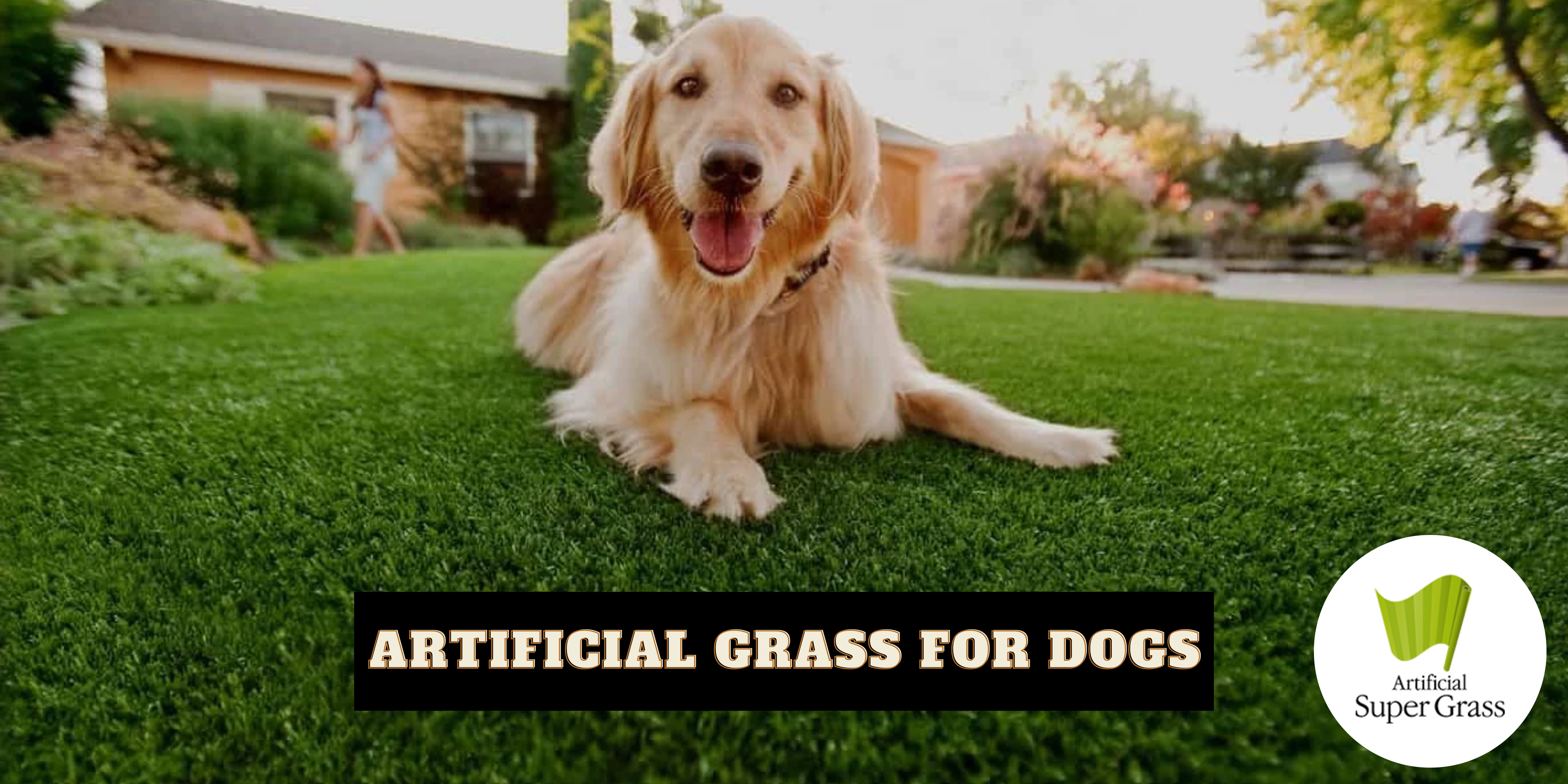 Artificial Grass For Dogs