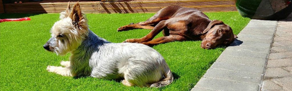 Artificial Grass Beneficial For Pets